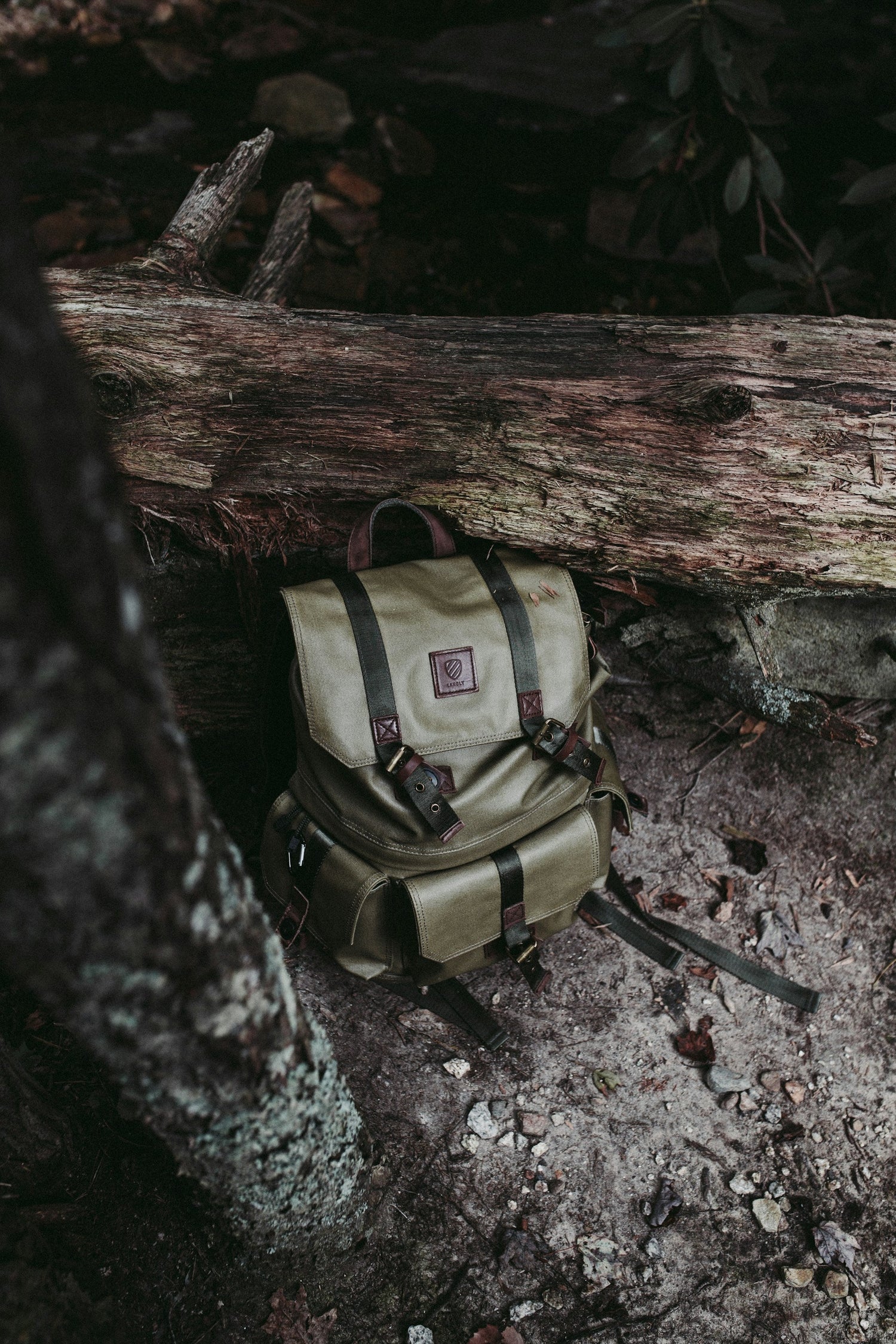 Travel & Adventure